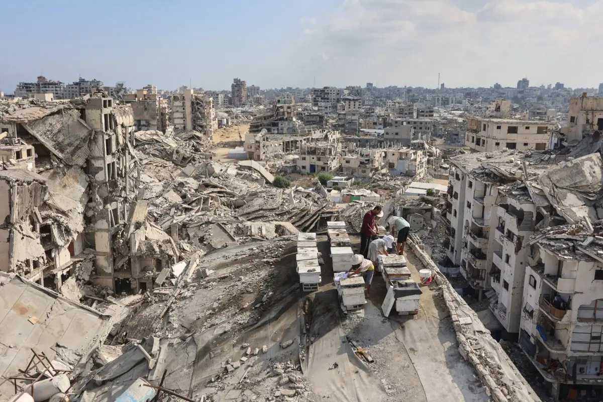 Ham s Afirma Que Sigue Dispuesto A Avanzar Con El Plan De Paz Para Gaza ham-s-afirma-que-sigue-dispuesto-a-avanzar-con-el-plan-de-paz-para-gaza