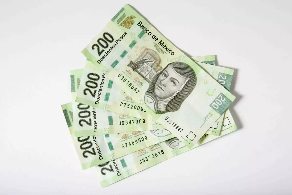 Cetes dan menos rendimientos en la última semana de enero: cuánto se gana al invertir 