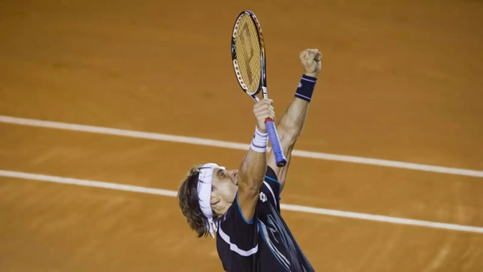 David Ferrer
