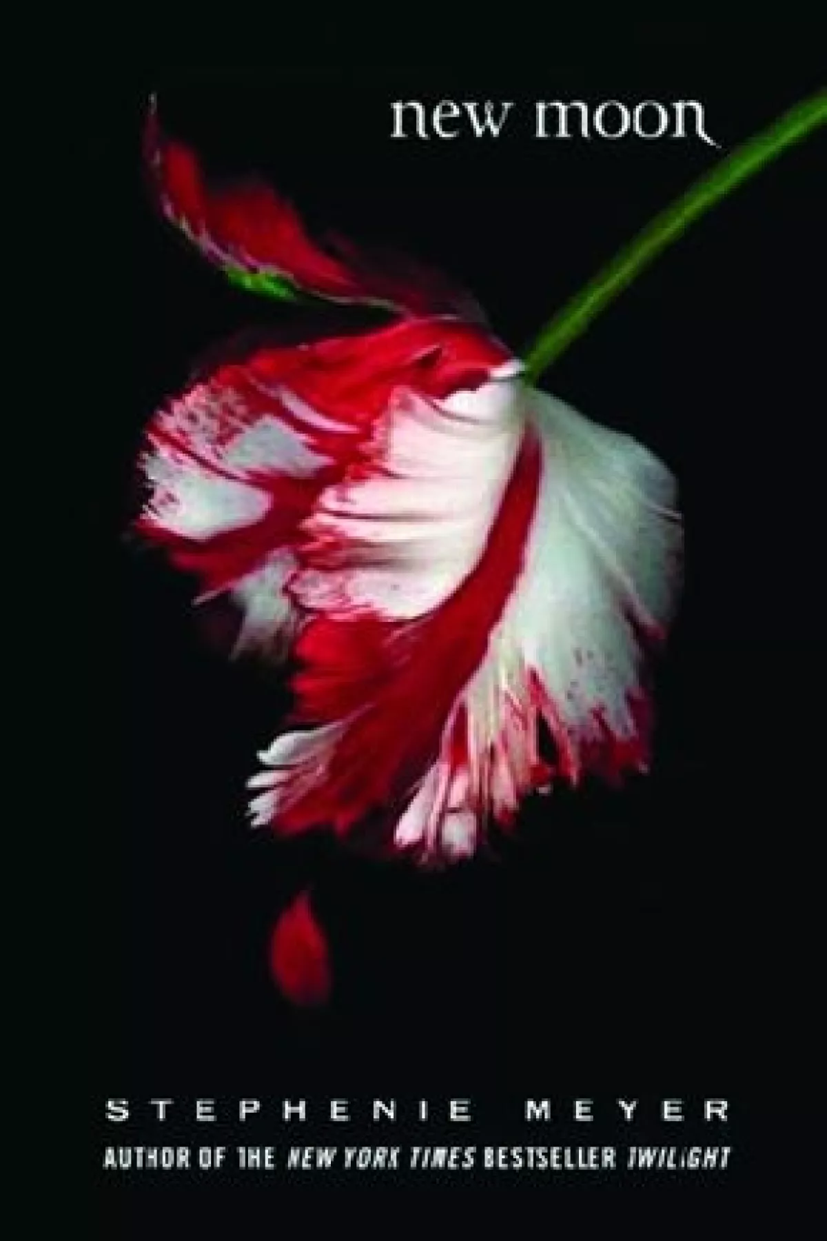 Agosto 2006. En Luna nueva se pone a prueba el amor.