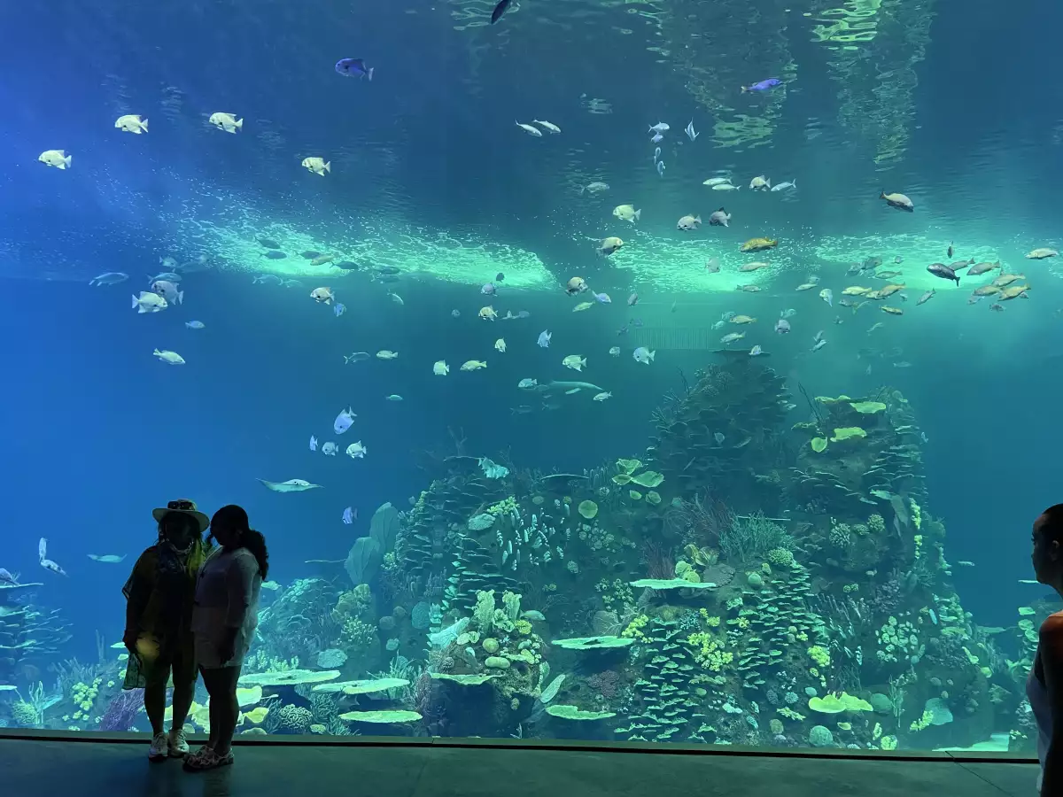 Acuario de Mazatlán