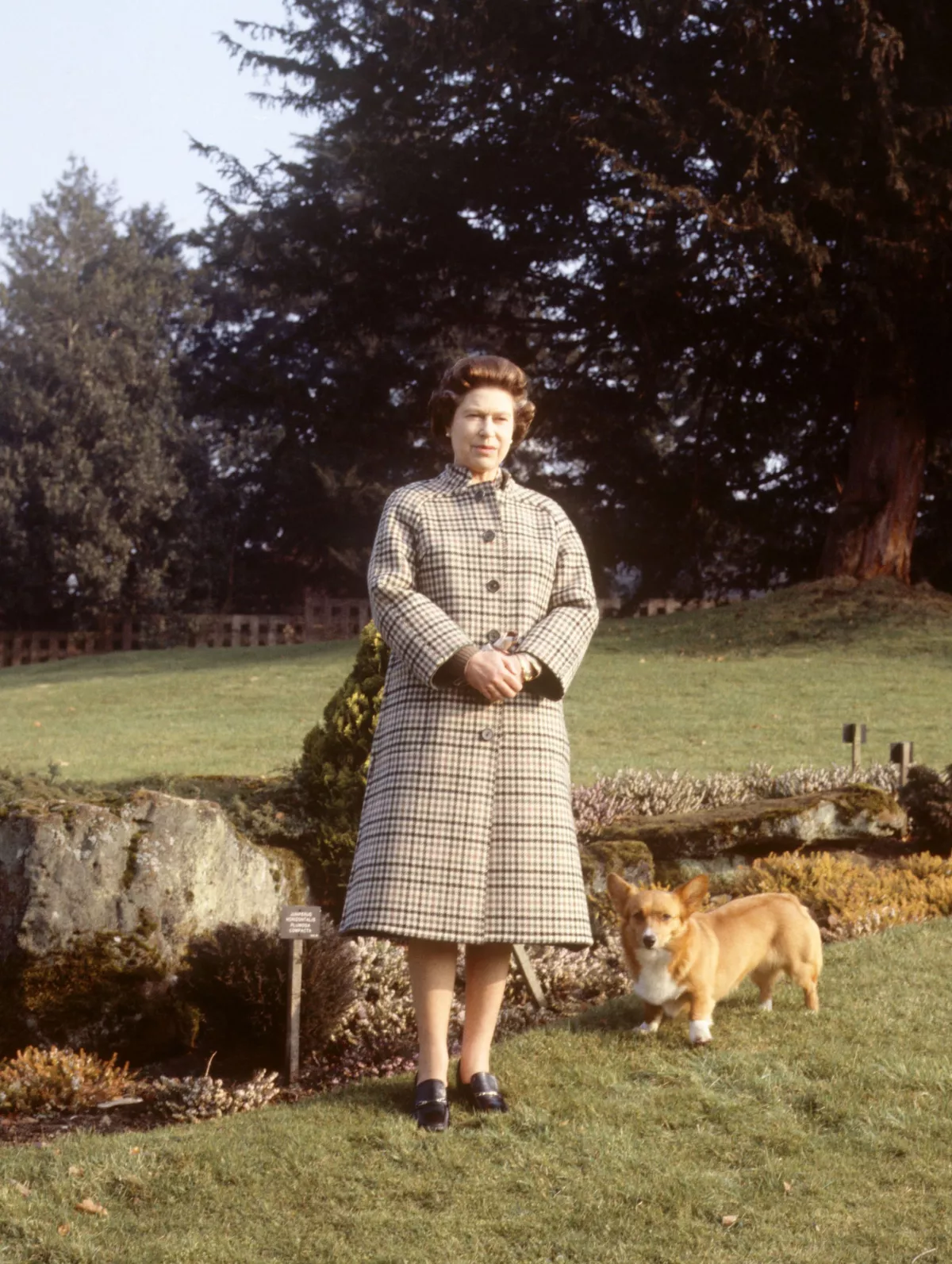 El día que la reina Isabel intentó separar a sus perros y salió herida