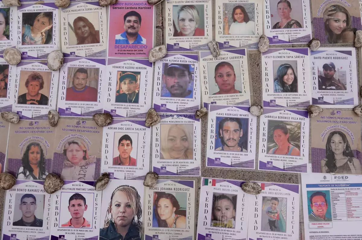 buscadoras