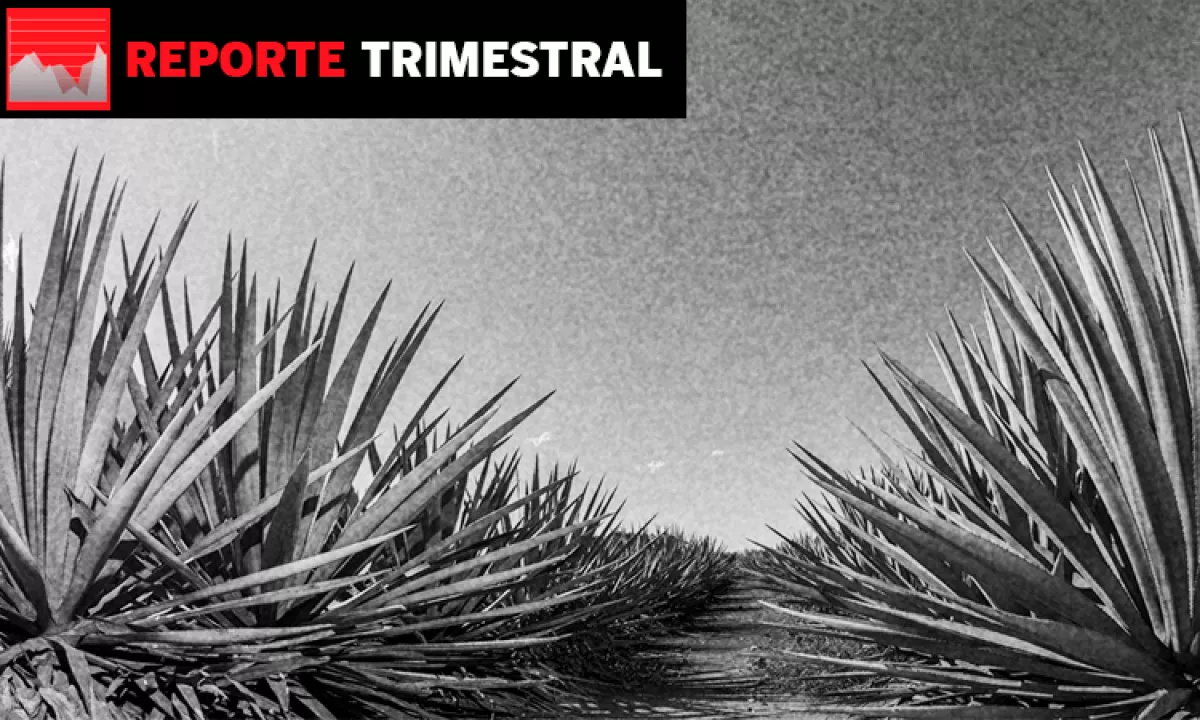 Cuervo reporte financiero.