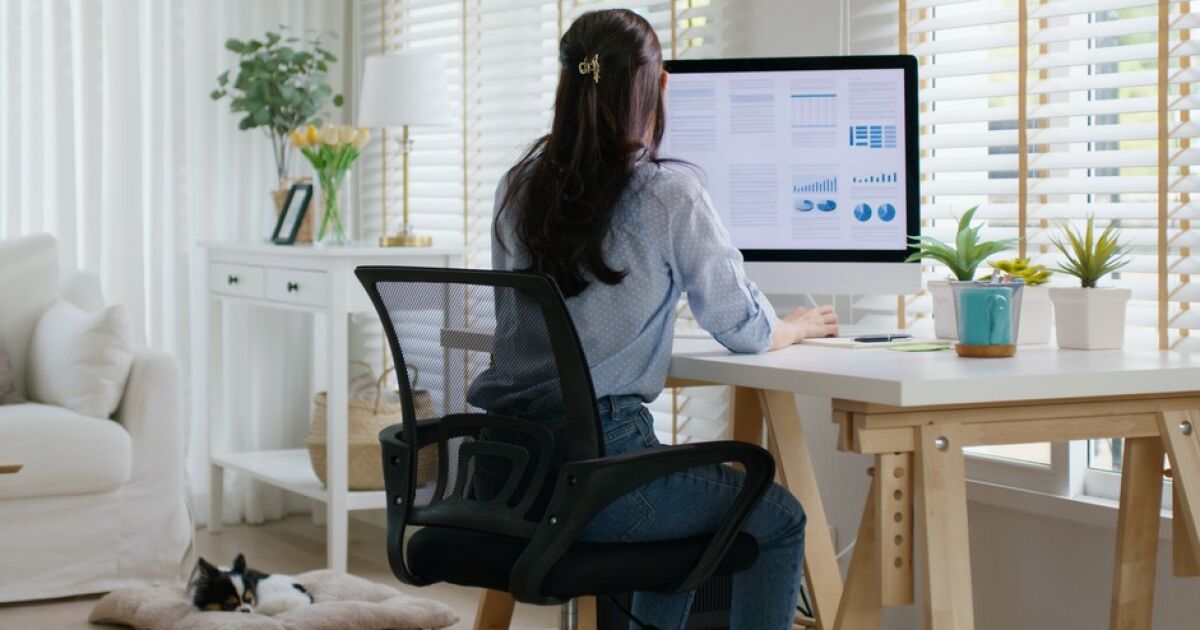 Çalışanların ev ofisini savunduğu slogan “Maaşımı düşürün ama beni ofise döndürmeyin”