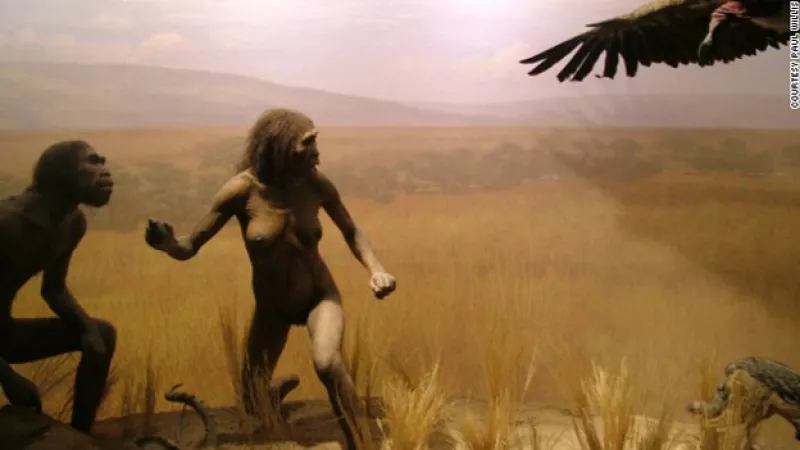 diorama museo historia natural NY 