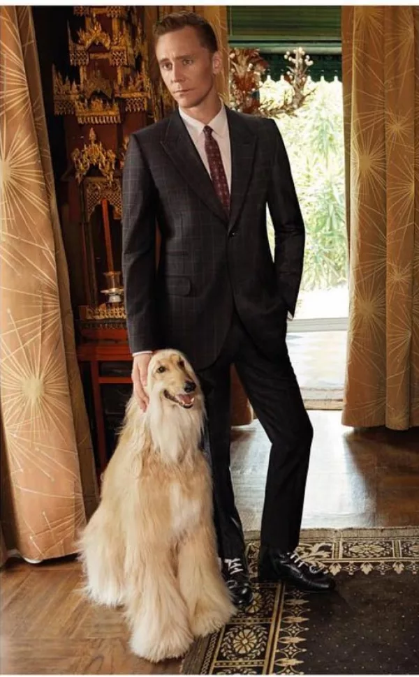 Tom Hiddleston