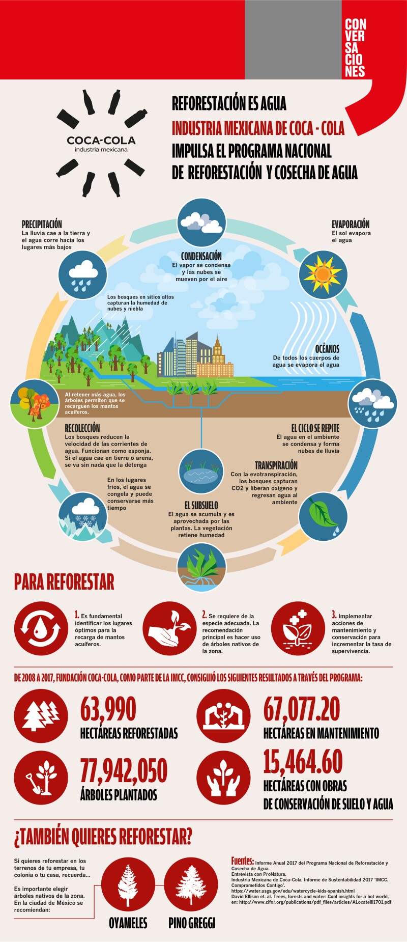 Reforestación es agua