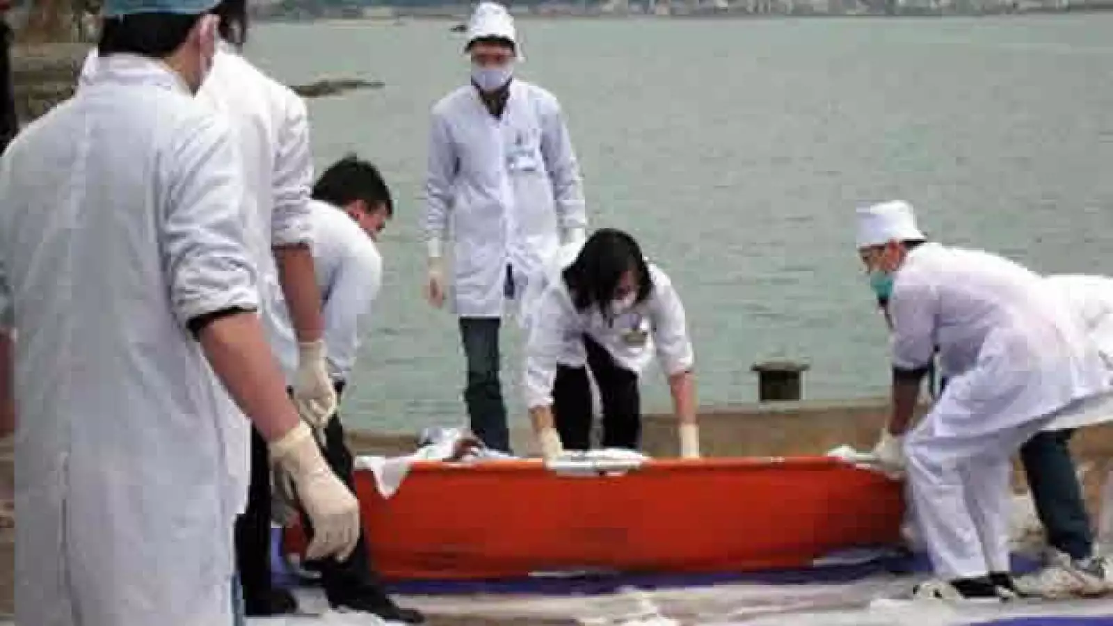 Vietnam - hundimiento