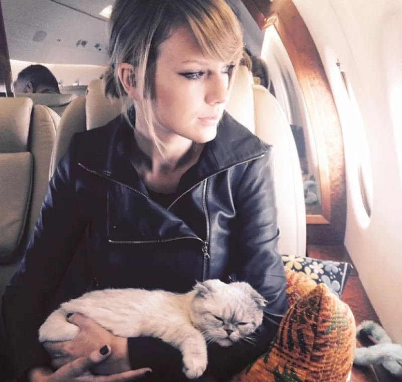 Hoy se celebra en redes sociales el día internacional del gato, y recordamos algunos personajes que son amantes de estos adorables animalitos.