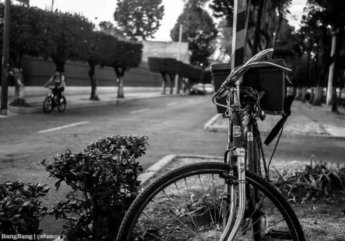 Bicicletas