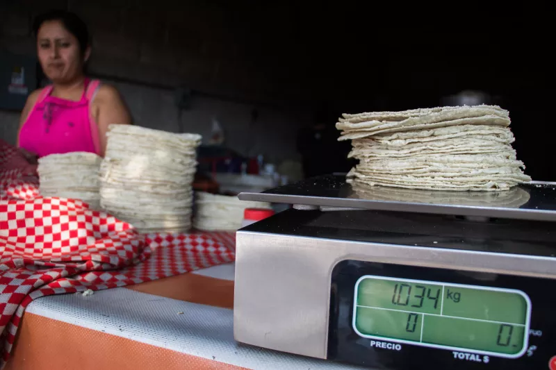 Precio de la tortilla insumos 