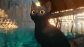 Gato de color negro con mirada preocupada viendo hacia el horizonte