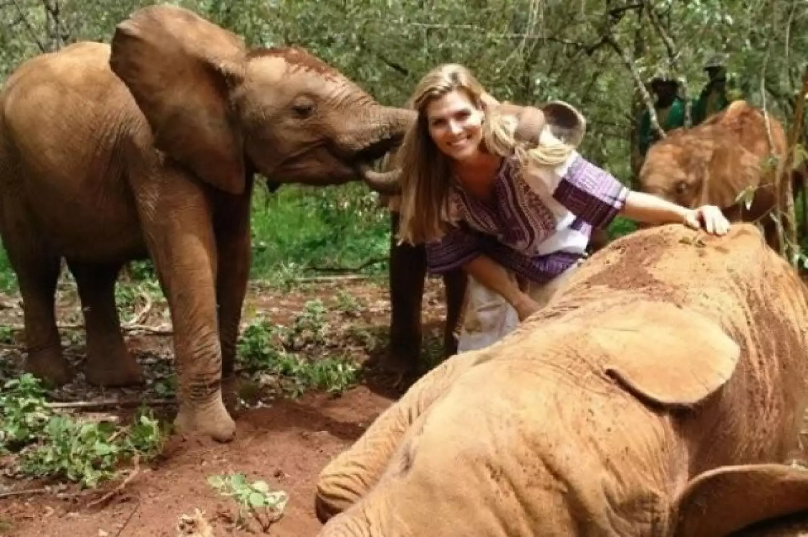 El Santuario David Sheldrick se encuentra en Nairobi.