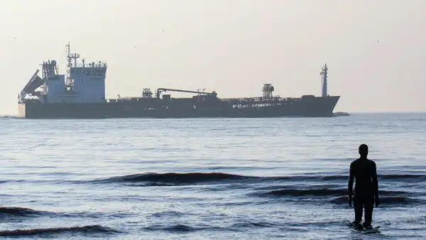 Persona observando desde la costa la presencia de un buque metanero, usado para la exportación de gas natural licuado.