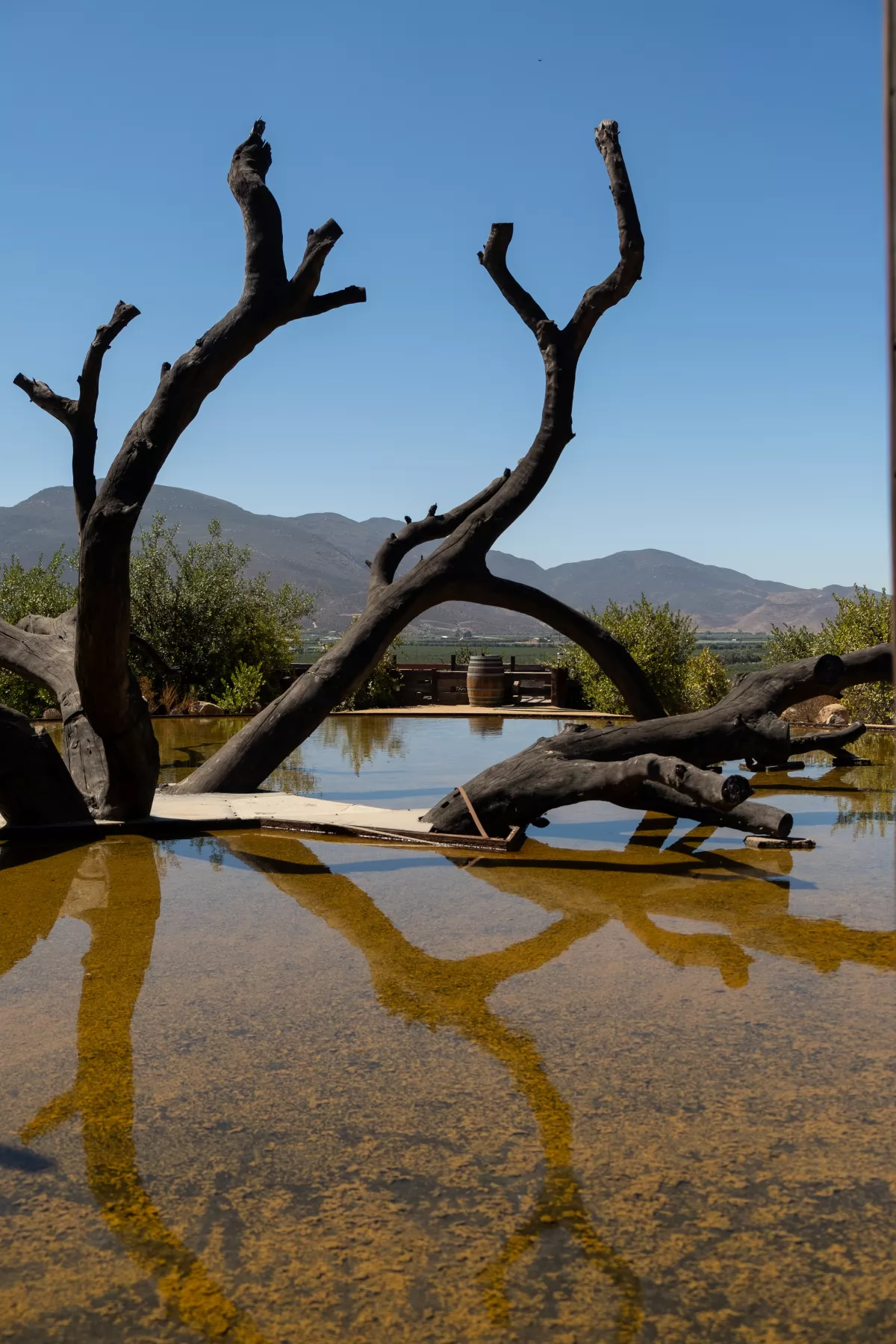 Bruma Wine Resort