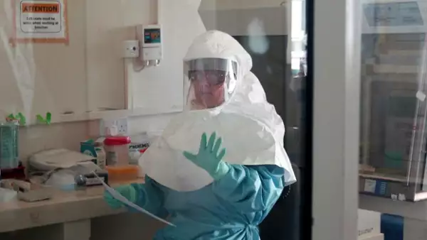 lab