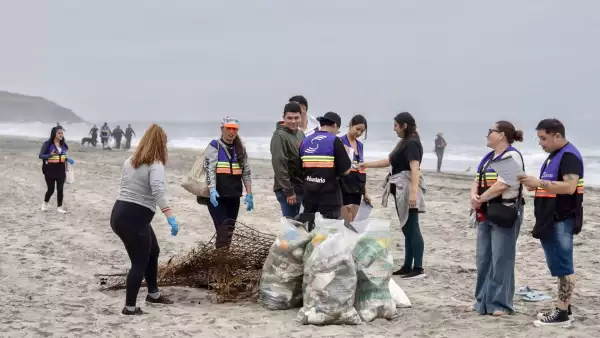 Limpieza de Playas 