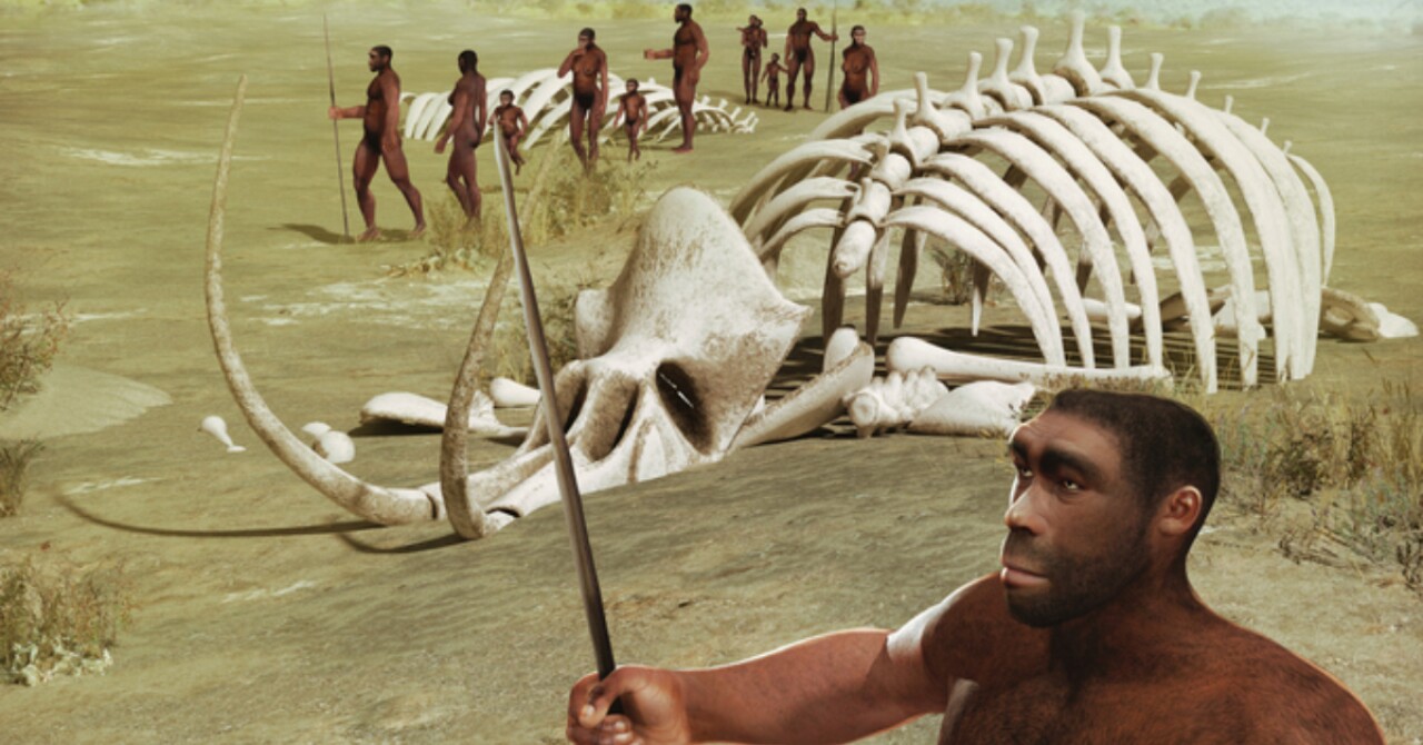 El Homo erectus sabía adaptarse a las condiciones desérticas, revela estudio