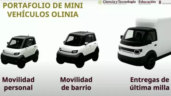 (Obligatorio)