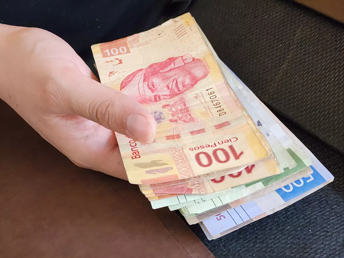 ingreso-ciudadano-universal-cdmx