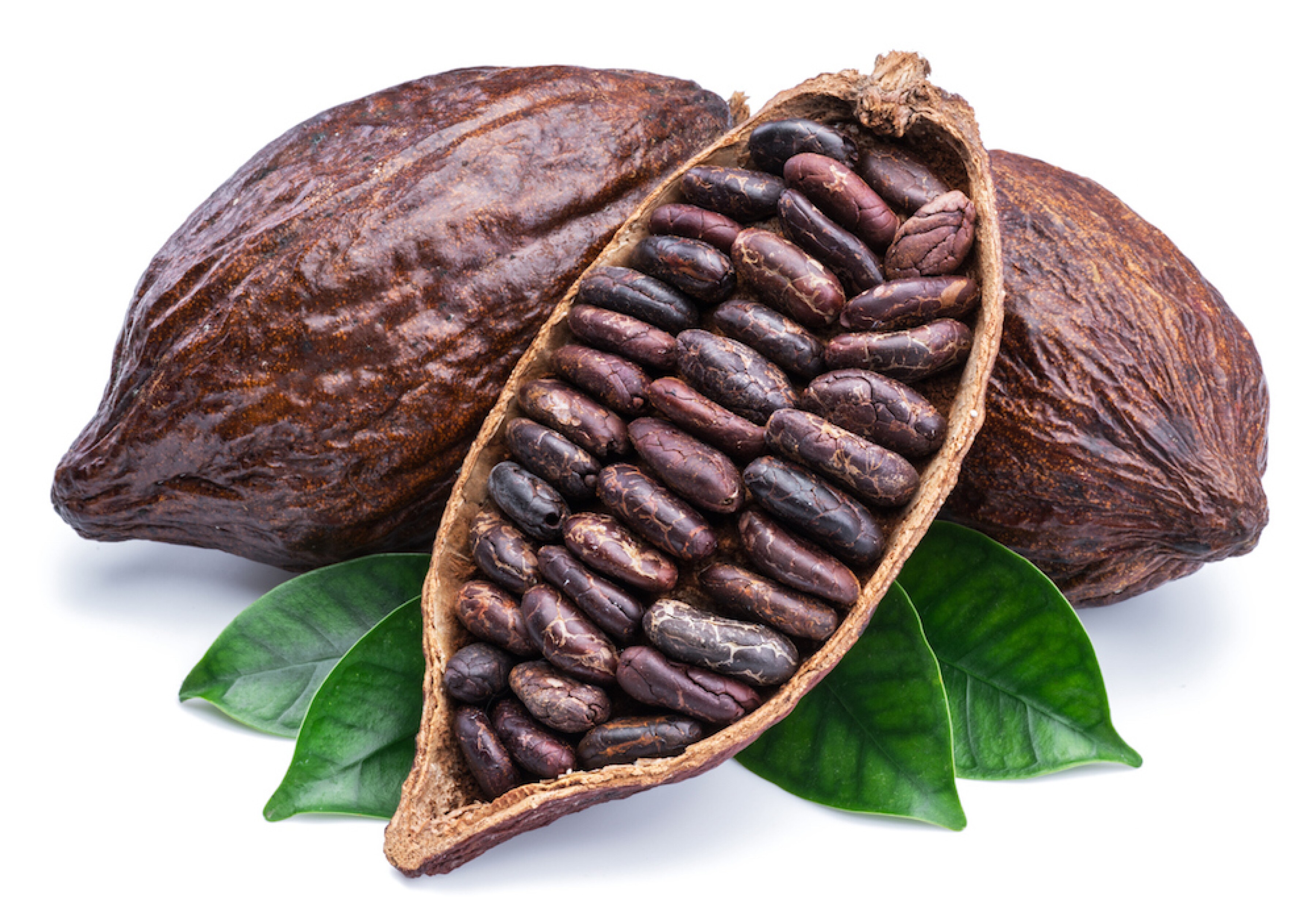 Ocho beneficios del cacao que no conocías Ocho beneficios del cacao que no conocías