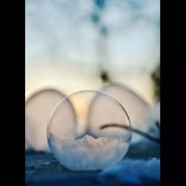 burbujas congeladas EU 8