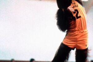 Teen Wolf