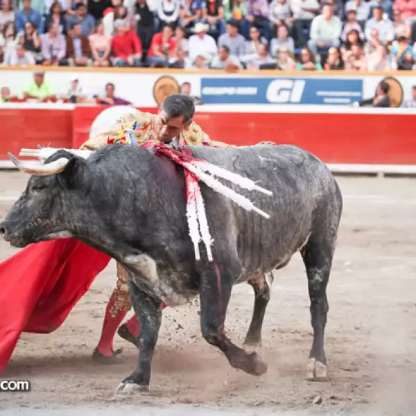 Eulalio López ´El Zotoluco´