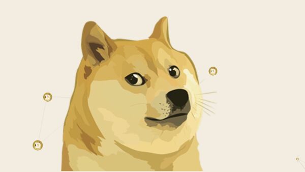 El Dogecoin Cae Un 30 Tras Aparicion De Musk En Saturday Night Live Doge to idr rate for today is rp5,550.63. el dogecoin cae un 30 tras aparicion