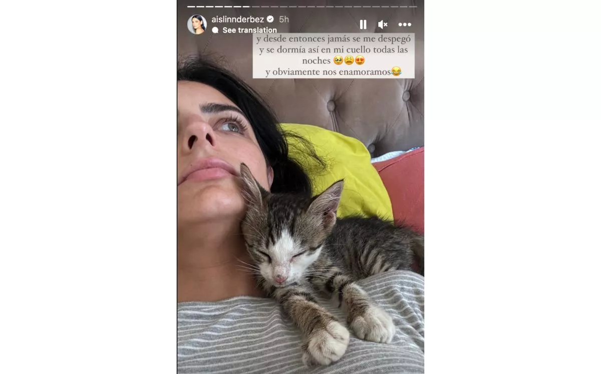 aislinn-derbez-gato