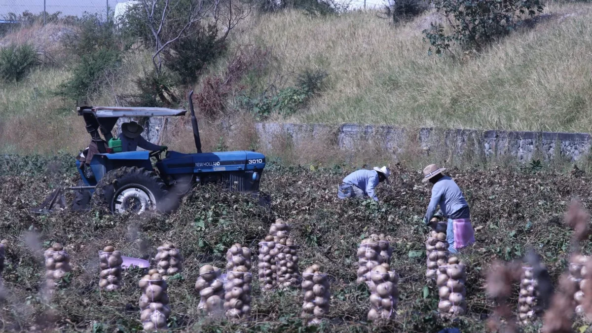 financiera-nacional-desarrollo