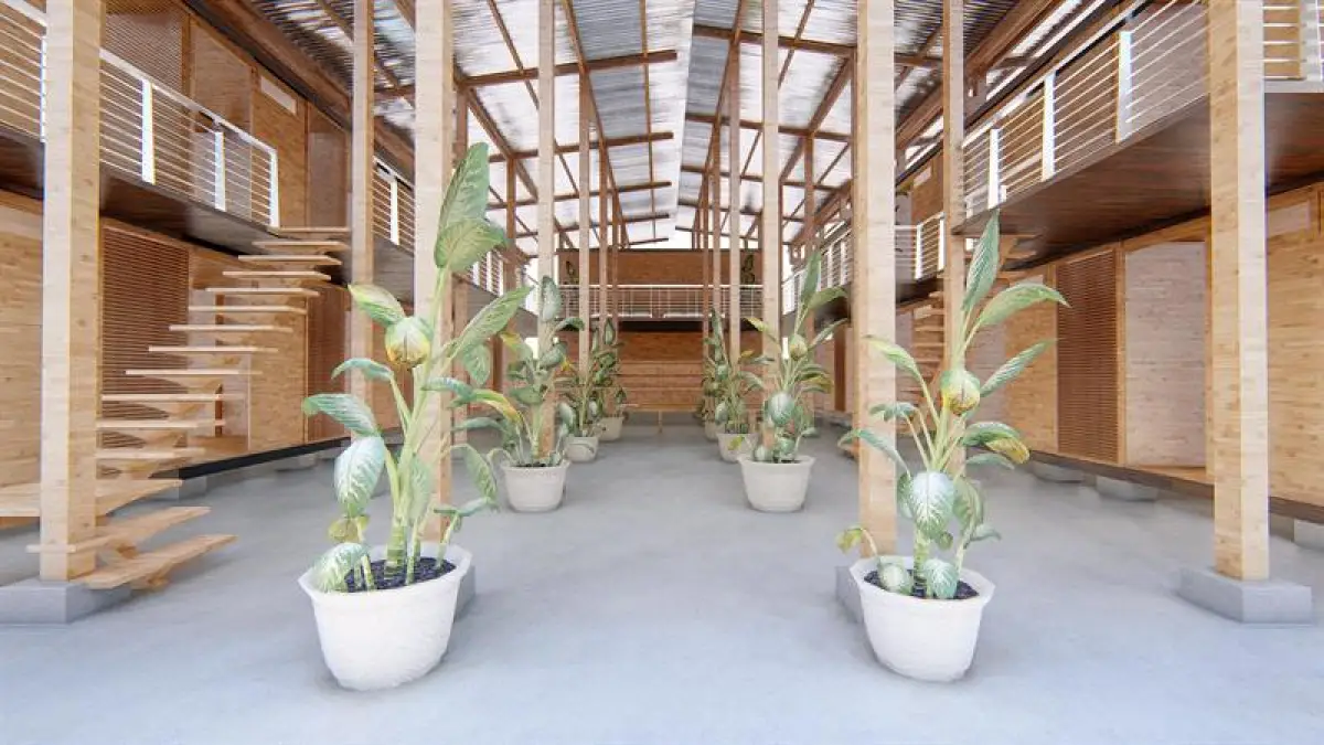 Casas Bambú 