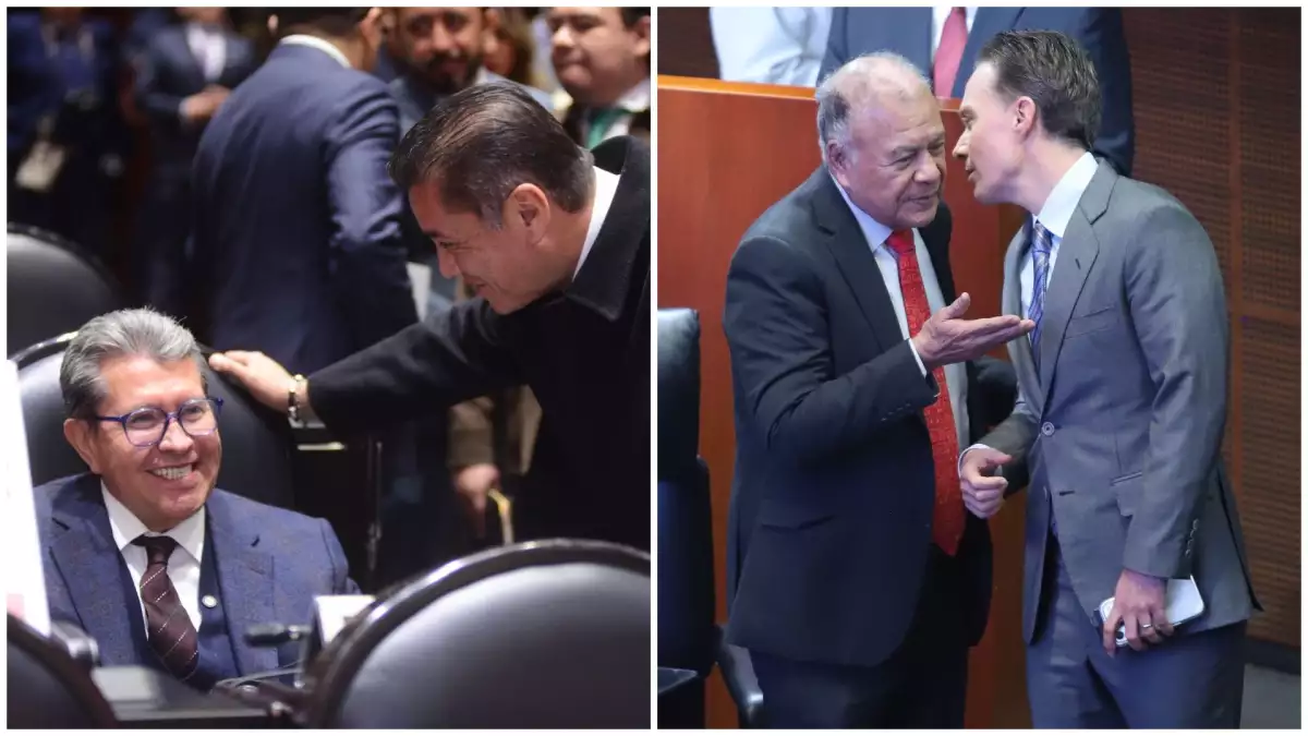 Reforma electoral_Monreal Velasco 