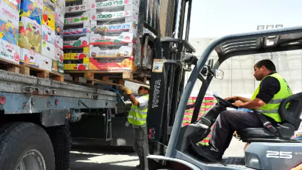 exportaciones de alimentos