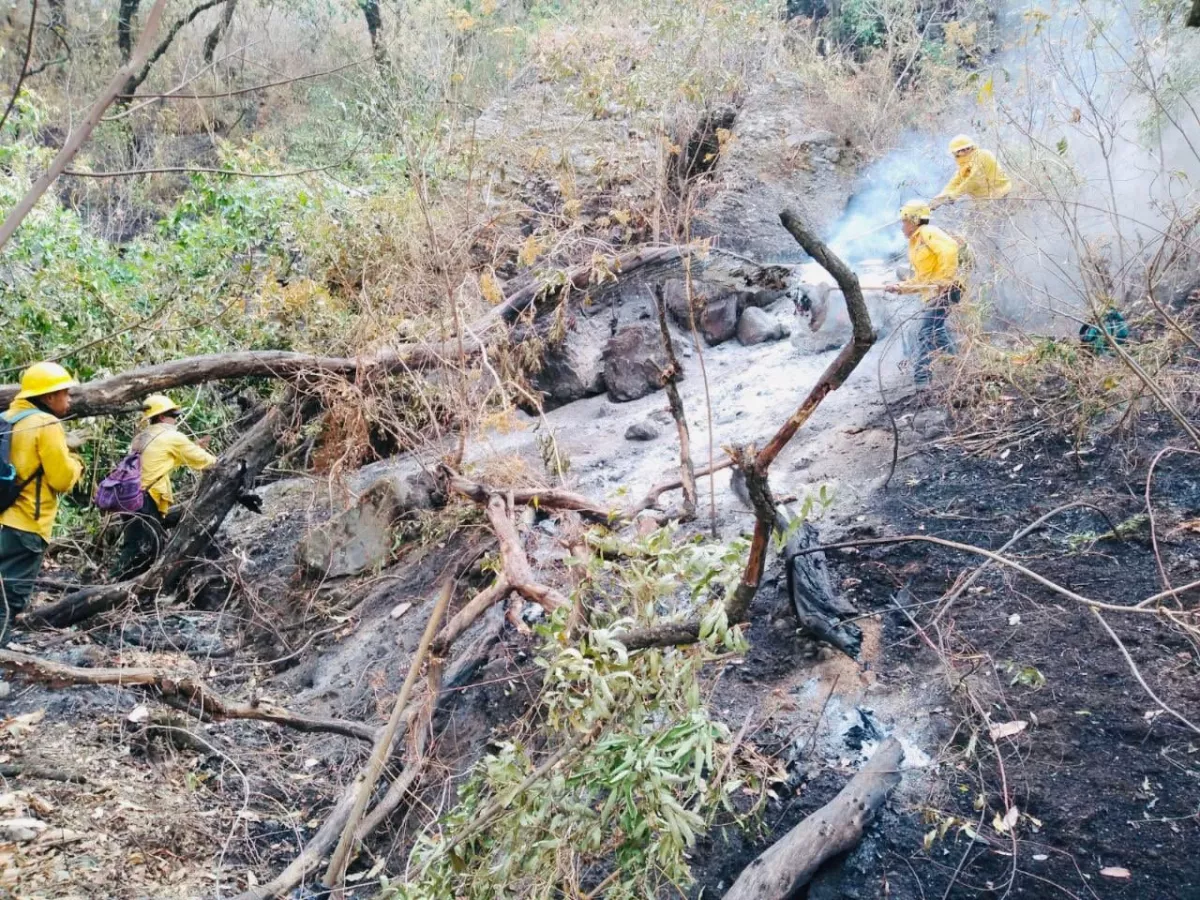 Para sofocar el incendio en El Tepozteco se coordinan diversas instancias