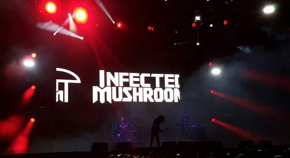 Infected Mushroom