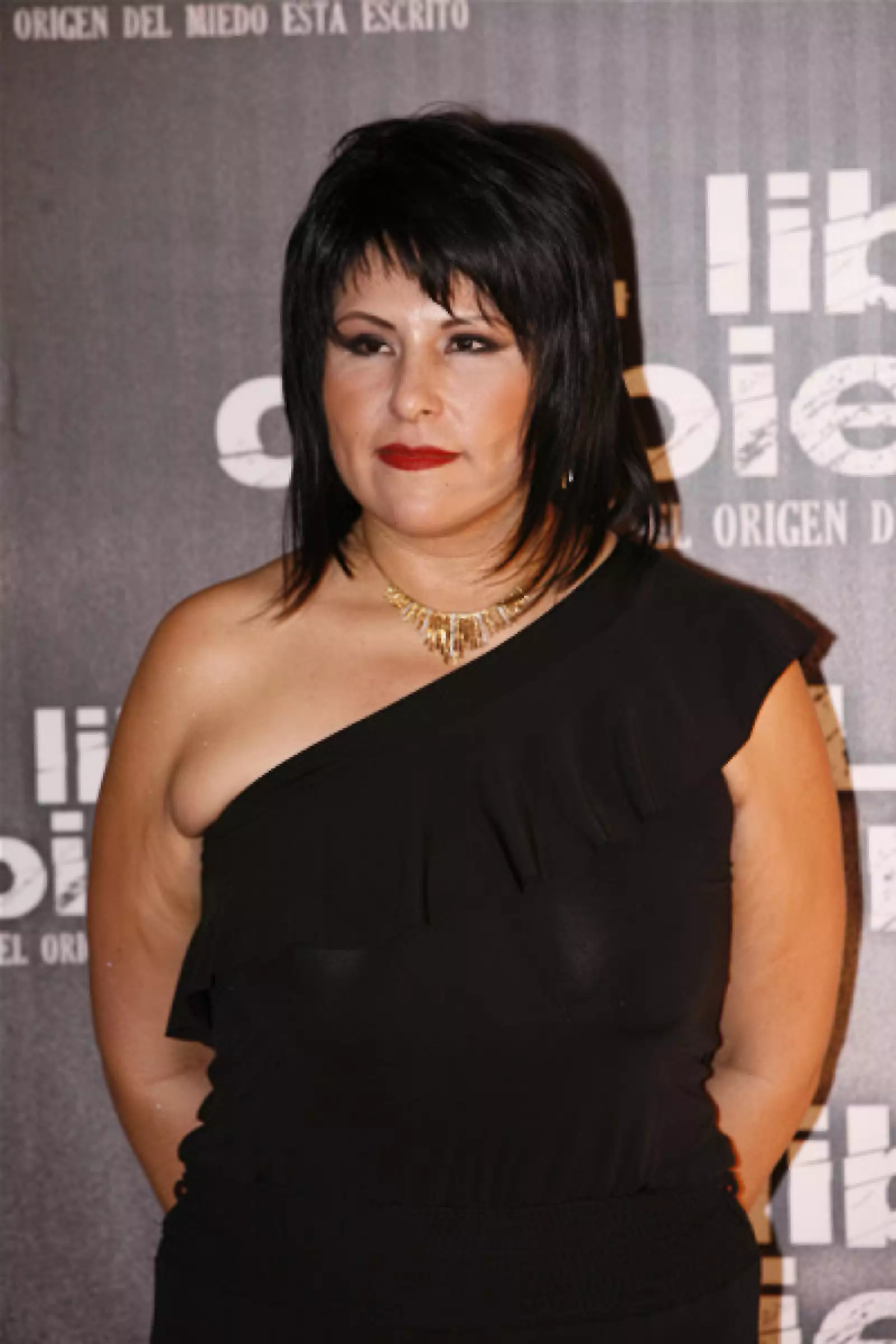 Premier el libro de piedra