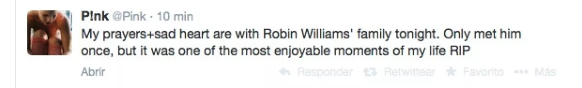 `Mis oraciones y corazón entristecido están con la familia de Robin Williams esta noche. Sólo lo vi una vez pero fue uno de los momentos que más he disfrutado de mi vida. RIPÂ´, escribió Pink.