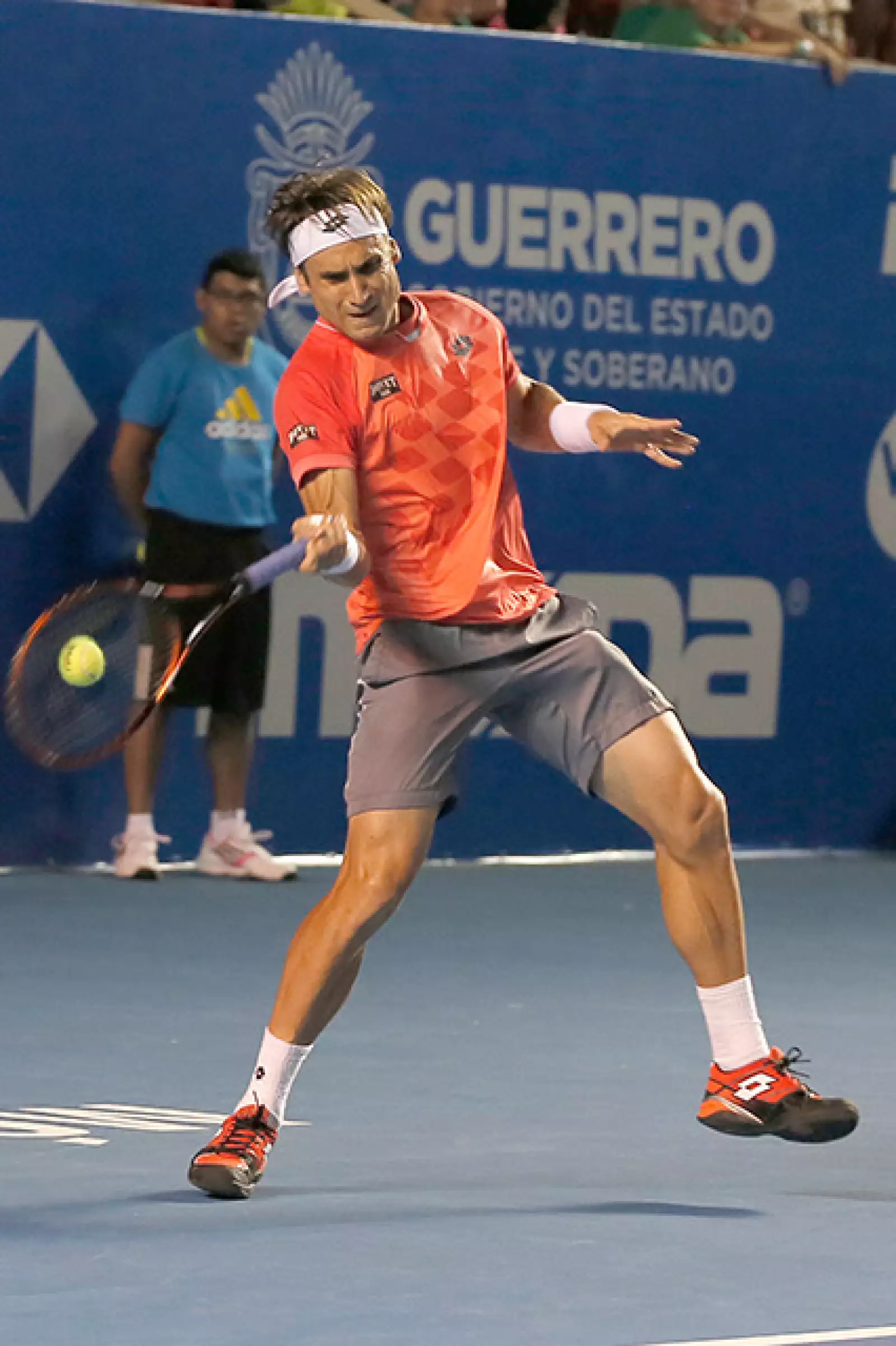 David Ferrer