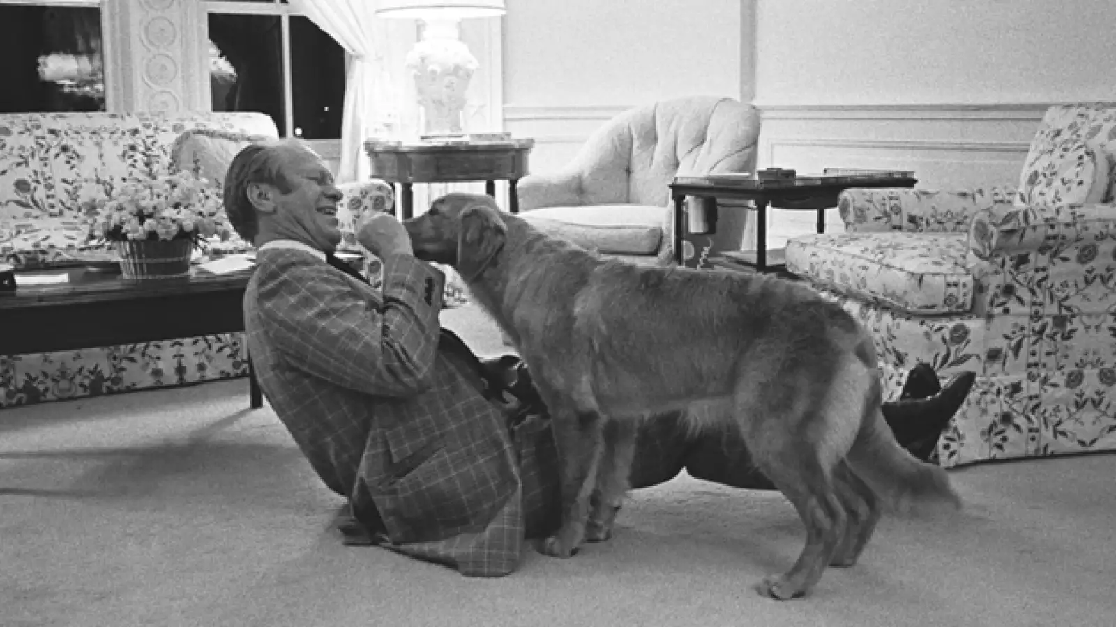 perros, presidente, eu, ford