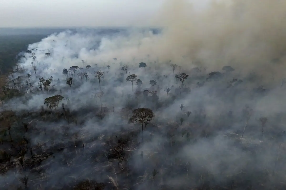 ¿Por qué la Amazonía y otros bosques en Sudamérica se están quemando?