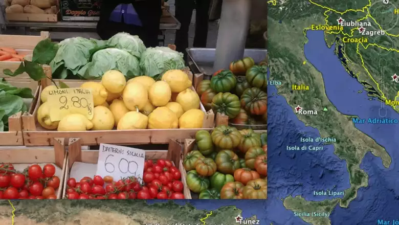 CNNMéxico pidió fotografías de limones alrededor del mundo