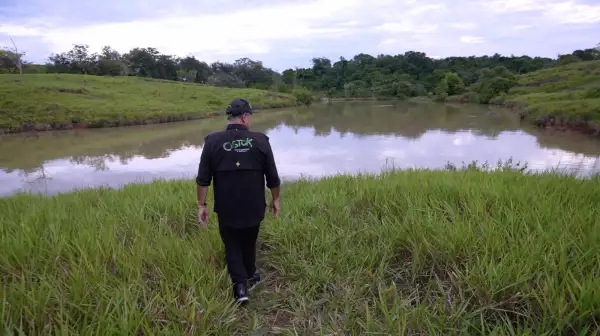 hipopotamos colombia