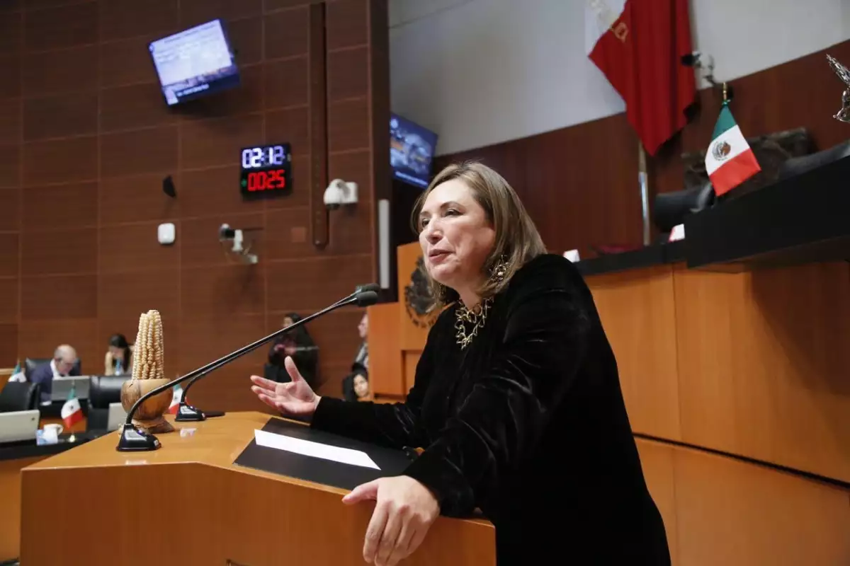 Xóchitl Gálvez.jpeg