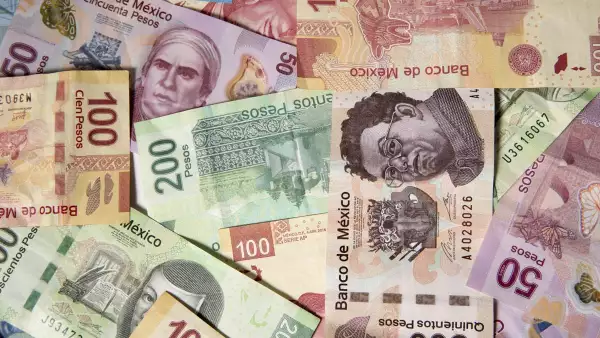 dinero - ingresos - empleo - ingreso laboral