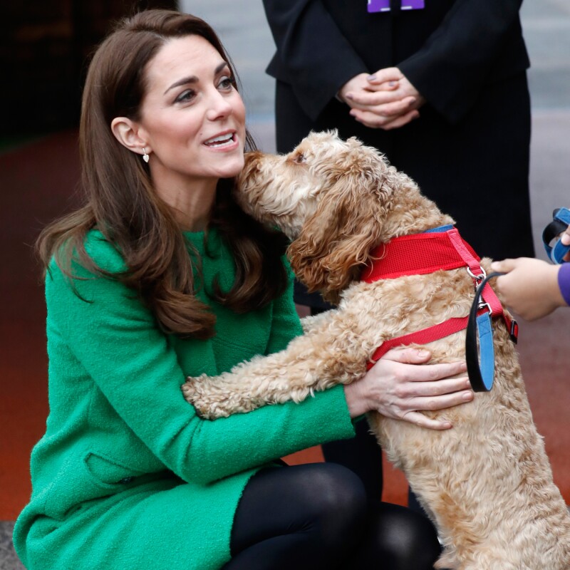 KATEperro.jpg