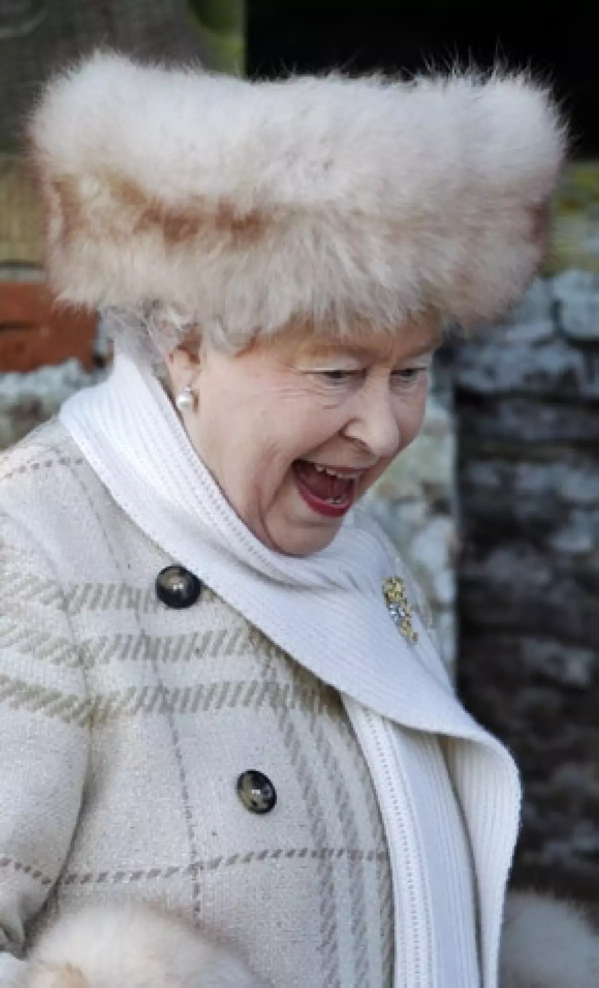 La primera bisnieta de la Monarca inglesa nació ayer en el Hospital Real de Gloucestershire, según un comunicado del Palacio de Buckingham.