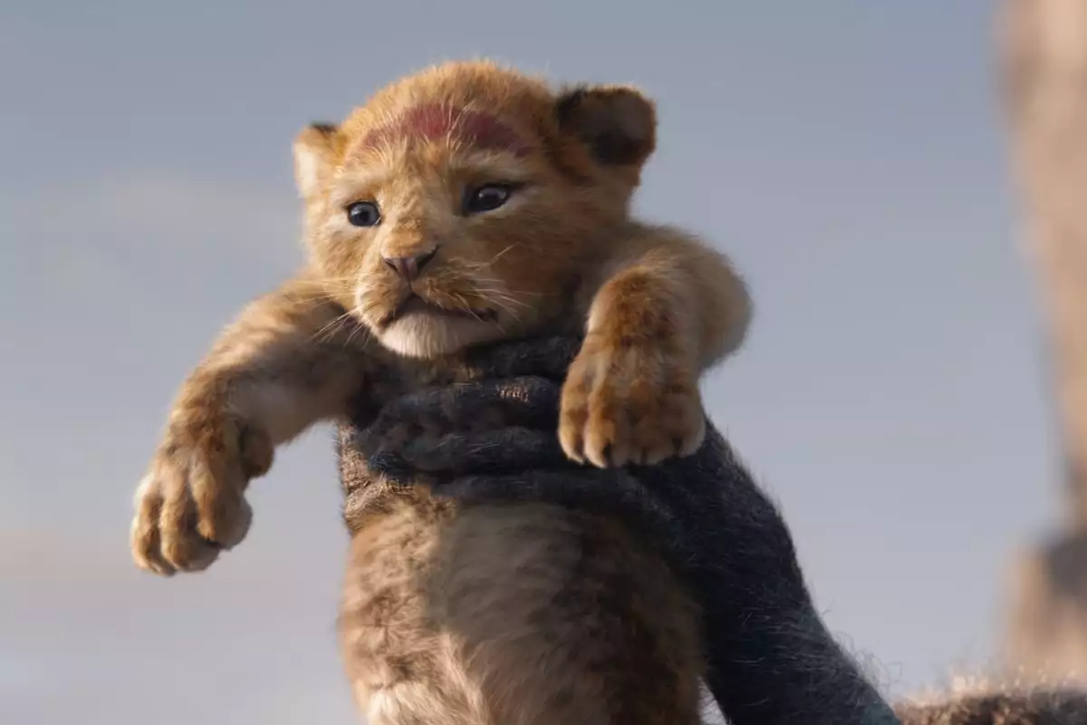 simba.jpg