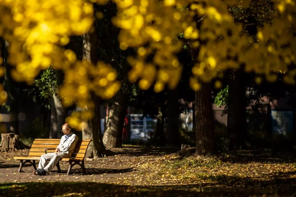 Japón y calor